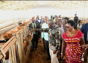 Deputy speaker Tayebwa warns NARO on promotion of  GMOs