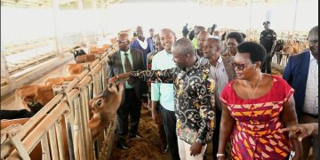 Deputy speaker Tayebwa warns NARO on promotion of  GMOs