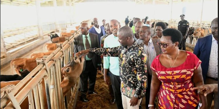 Deputy speaker Tayebwa warns NARO on promotion of  GMOs