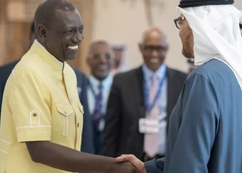 African countries defend large delegations at COP28