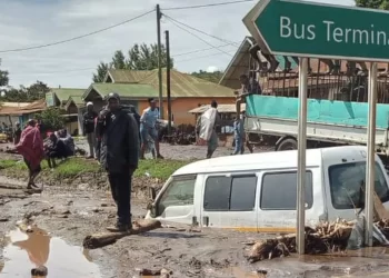 Tanzania landslide death toll hits 47