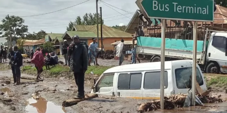 Tanzania landslide death toll hits 47