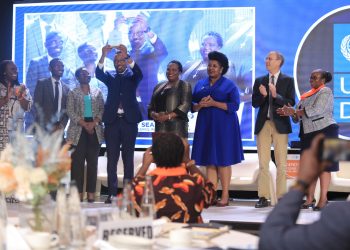 UNDP awards private sector for championing gender equality
