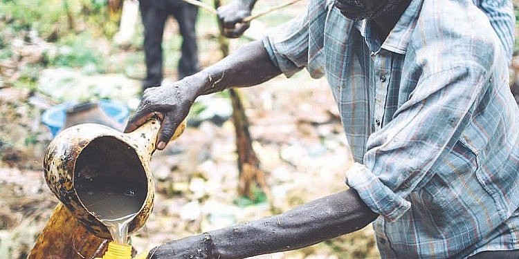 Is Uganda’s traditional tonto beverage in danger?