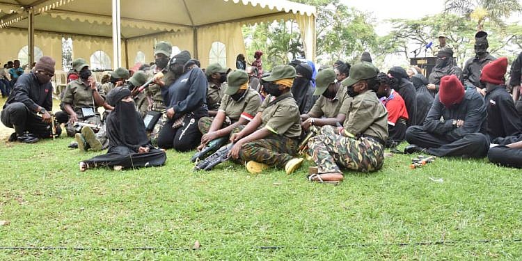 75 former ADF fighters granted amnesty