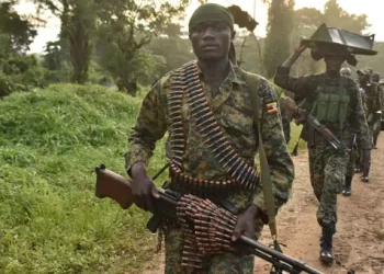 UPDF, FARDC kill three ADF rebels, rescue eight captives