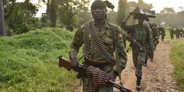 UPDF, FARDC kill three ADF rebels, rescue eight captives