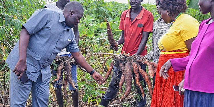 Shared responsibility key in Karamoja’s dev’t, says NRM’s Todwong