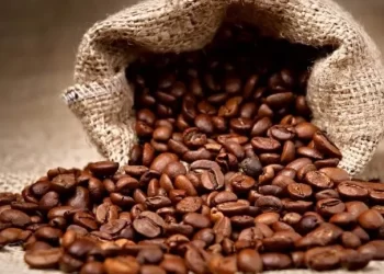 Looming ban on Ugandan coffee in Europe raises concern