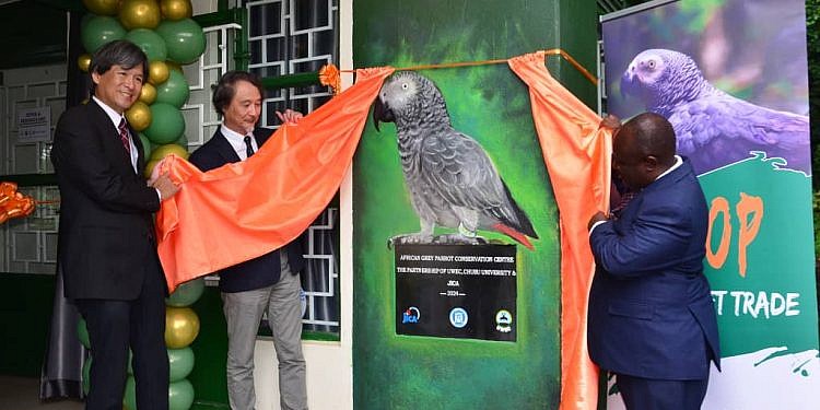 African grey parrot conservation centre opened at UWEC