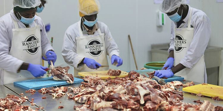 Shs16bn modern facility adds to Uganda’s meat processing industry