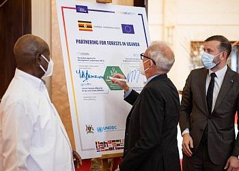 EU gives Uganda another shs167bn to tackle deforestation