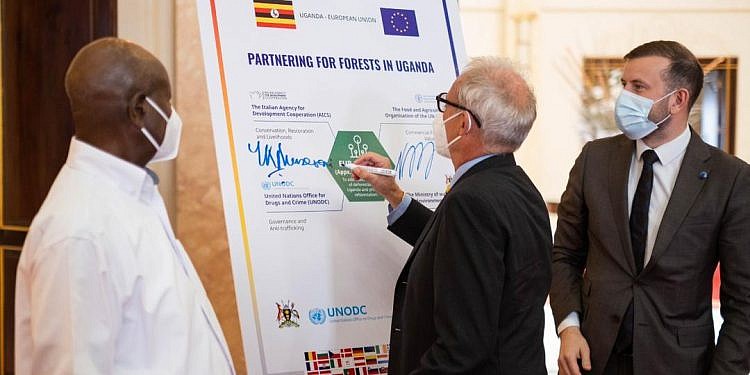 EU gives Uganda another shs167bn to tackle deforestation