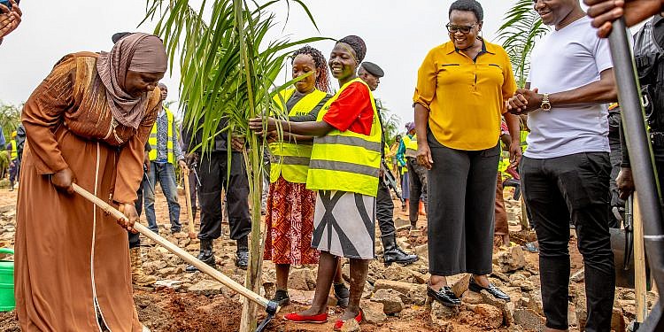 KCCA uproots trees planted in Kampala during NAM, G77 summits 
