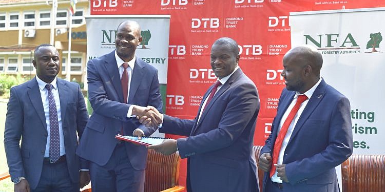 DTB ,NFA move to restore Kasonke Central Forest Reserve 