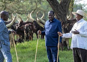 Museveni endorses Raila Odinga for AU chairmanship