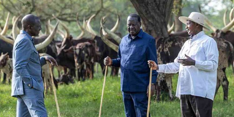 Museveni endorses Raila Odinga for AU chairmanship
