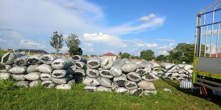 UPDF impound truck loaded with 146 bags of charcoal disguised as maize in Amuru