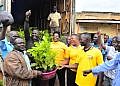 Museveni distributes 50,000 coffee seedlings to Gomba, Ssembabule farmers