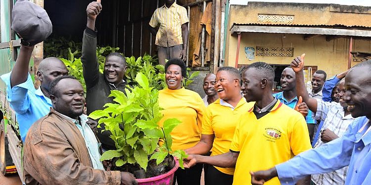 Museveni distributes 50,000 coffee seedlings to Gomba, Ssembabule farmers