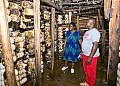 Kampala mushroom farmers share success stories, applaud Museveni for inspiration
