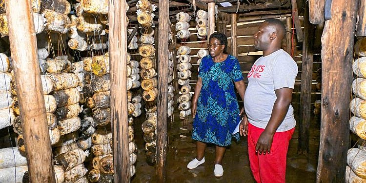 Kampala mushroom farmers share success stories, applaud Museveni for inspiration