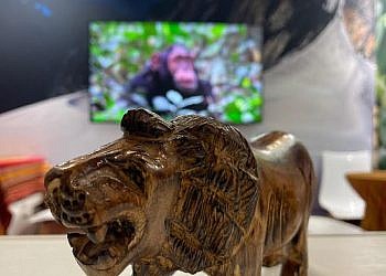 Uganda showcases tourism potential at International Travel Market in Paris