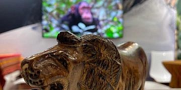 Uganda showcases tourism potential at International Travel Market in Paris