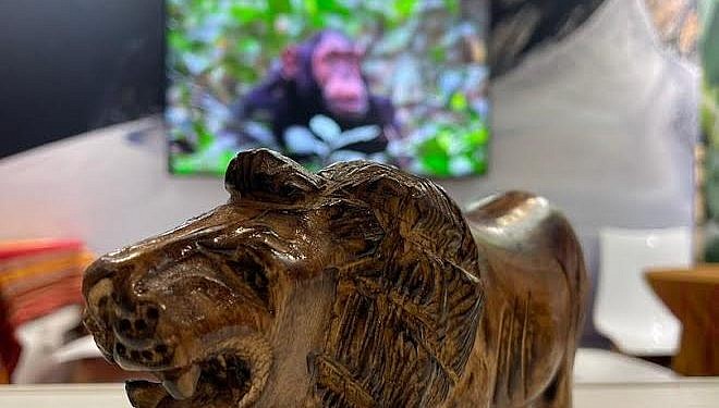 Uganda showcases tourism potential at International Travel Market in Paris