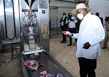 Museveni launches milk factory  in Kampala