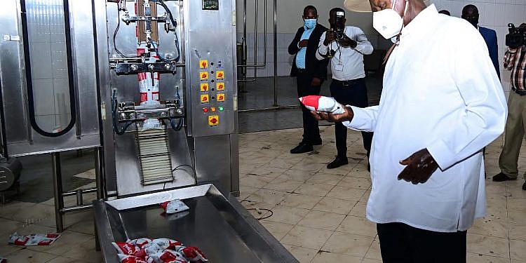 Museveni launches milk factory  in Kampala