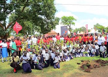 Absa, Rotary to plant 120,000 trees in primary schools in new partnership