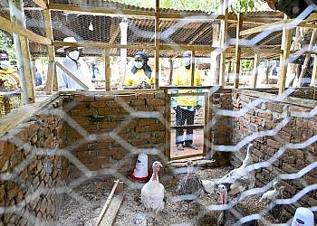 PDM success in Kibuku impresses Museveni