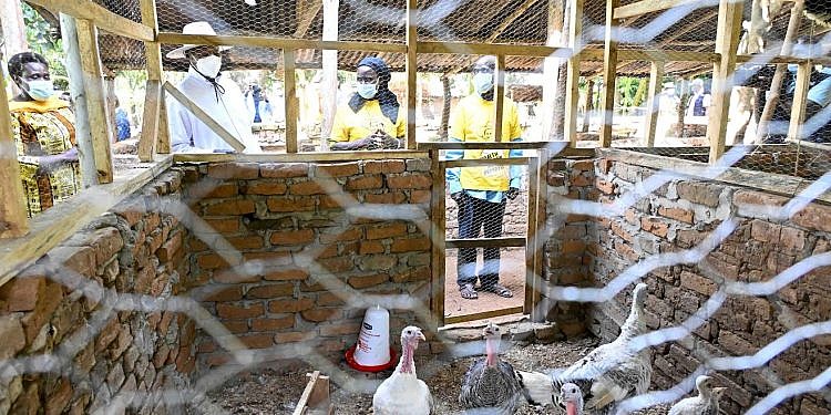 PDM success in Kibuku impresses Museveni