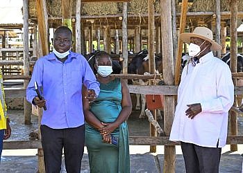 How Museveni’s four-acre model gospel changed fortunes for former taxi driver