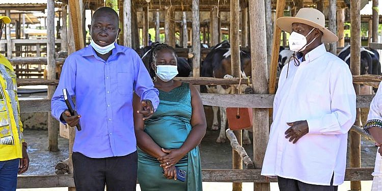 How Museveni’s four-acre model gospel changed fortunes for former taxi driver