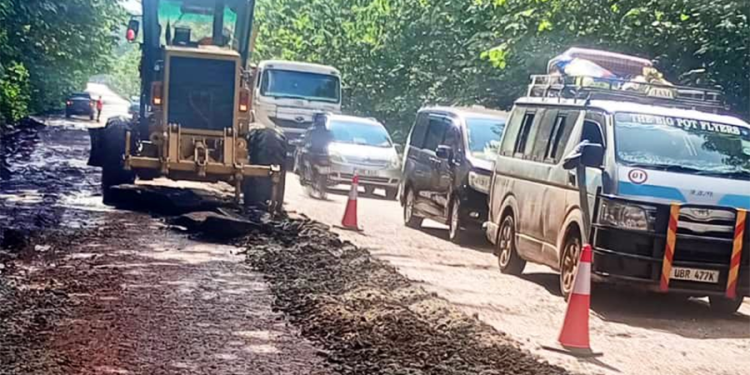 Mabira closed off to heavy trucks as UNRA starts repairs