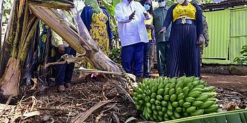 Don’t borrow from banks, moneylenders but PDM saccos- Museveni asks Sebei locals
