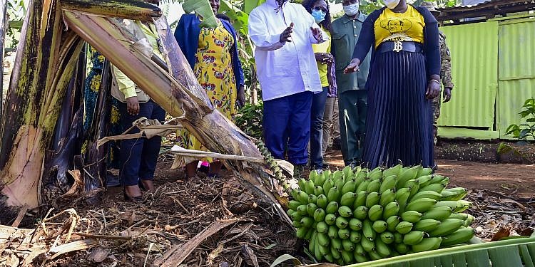 Don’t borrow from banks, moneylenders but PDM saccos- Museveni asks Sebei locals