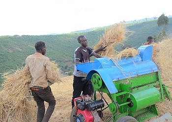UBL hailed for providing ready barley market for Kween farmers