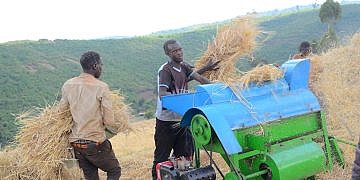 UBL hailed for providing ready barley market for Kween farmers