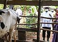 I no longer want to see poverty in Busoga- Museveni