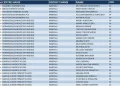 LIST: Here are Kampala’s most performing schools in PLE 2024
