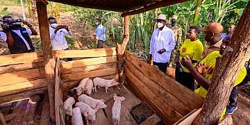 Museveni: Here is why I visit farmers with  few pigs and chicken, not the well-established ones