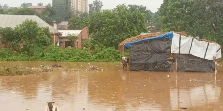 US Embassy staff among seven dead in Kampala floods