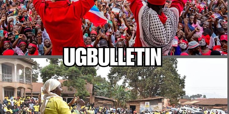 Kawempe North goes to polls this week after tense campaigns