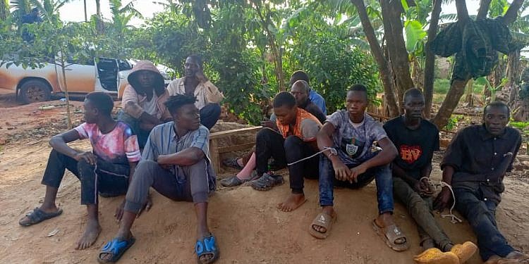 NFA intensifies crackdown on illegal logging in Mabira Forest, 10 more arrested