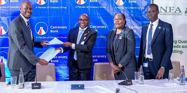 Centenary Bank, NFA move to restore 20 hectares of degraded Masindi Central Forest Reserve