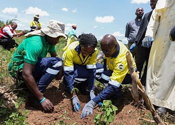 EACOP moves to plan 150,000 trees along oil pipeline