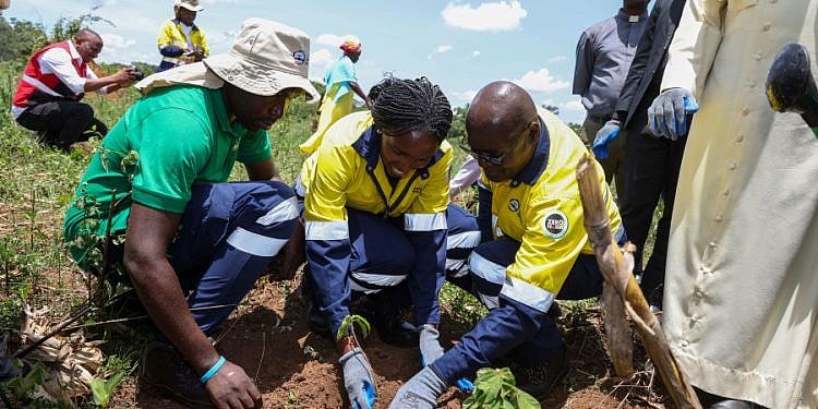 EACOP moves to plan 150,000 trees along oil pipeline